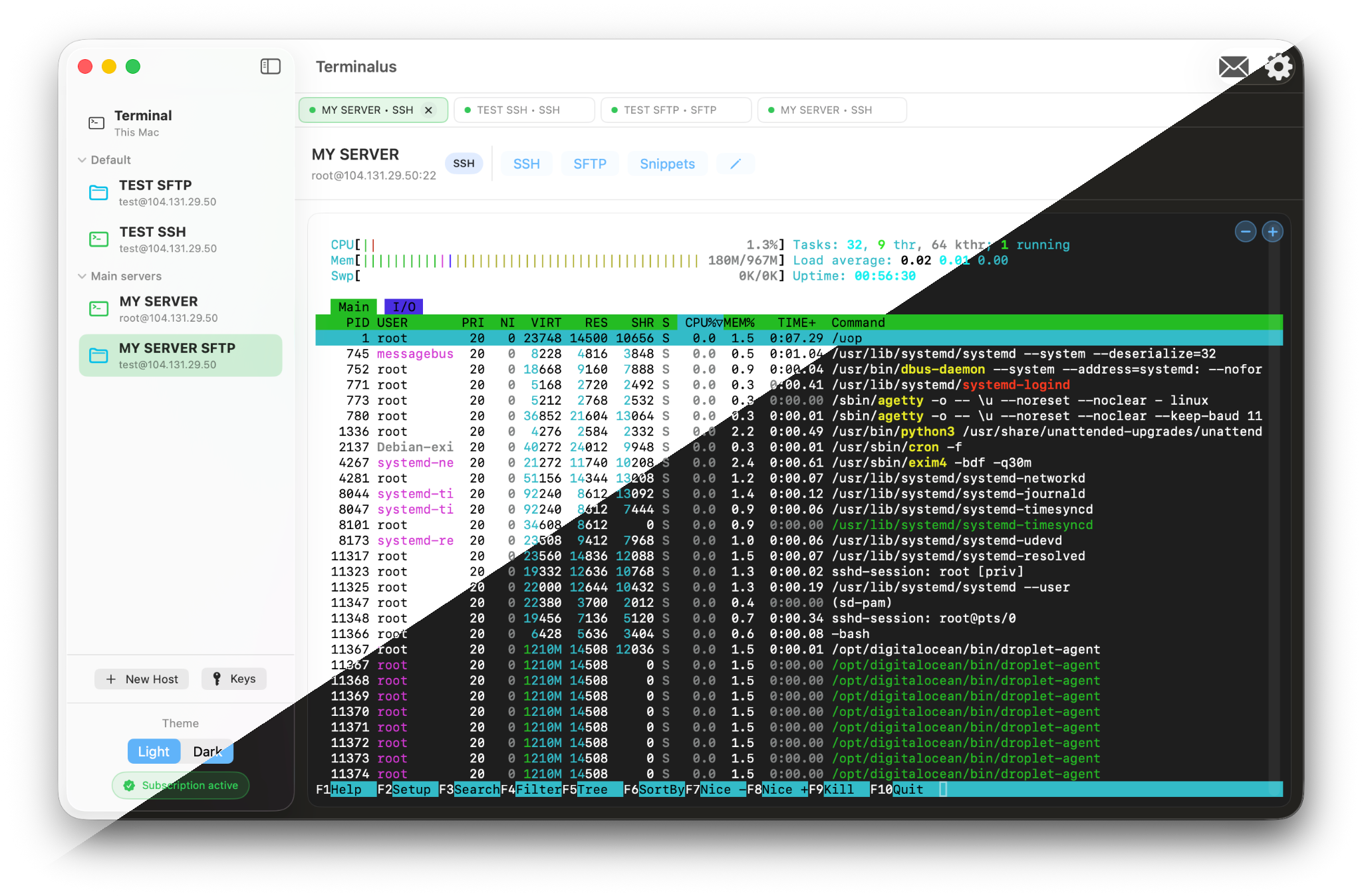 Light and Dark Themes